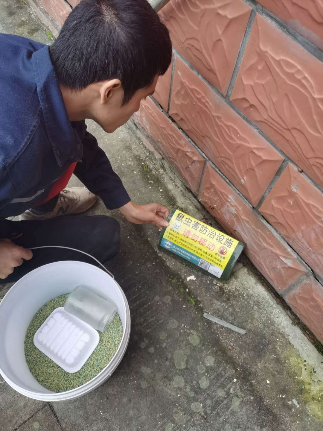 达州除四害
